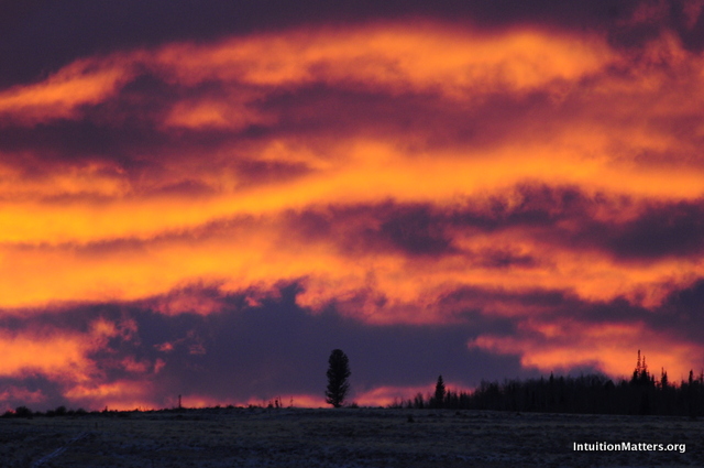 Key to surviving today’s turbulent times discovered in the movie “The Passion of Christ”.